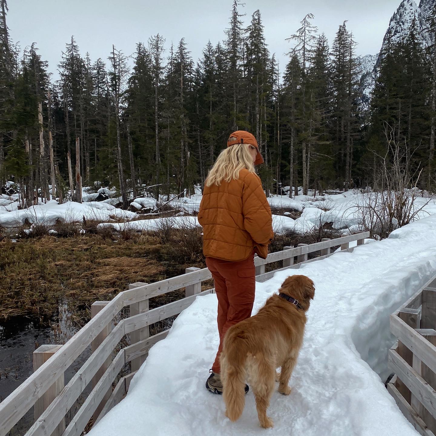 woman walking dog in the snow