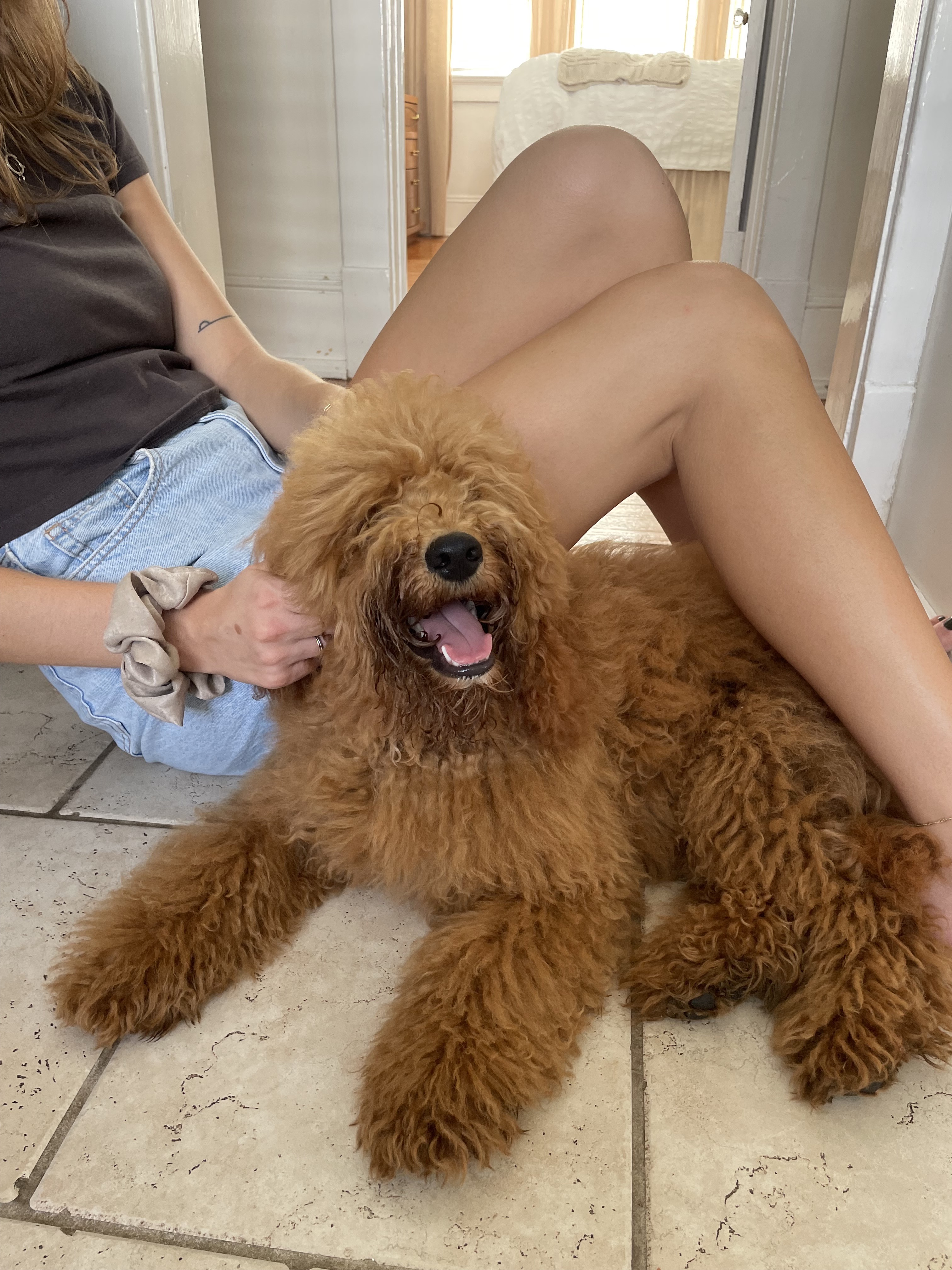 dog smiling and laying next to a woman